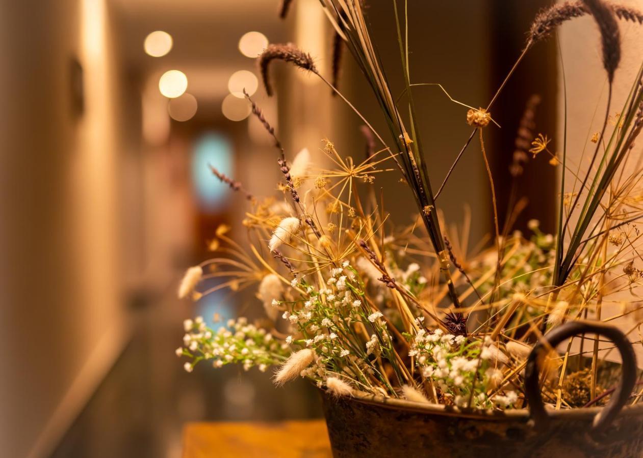 Hostal Restaurante Ventasierra Valdoré Екстериор снимка